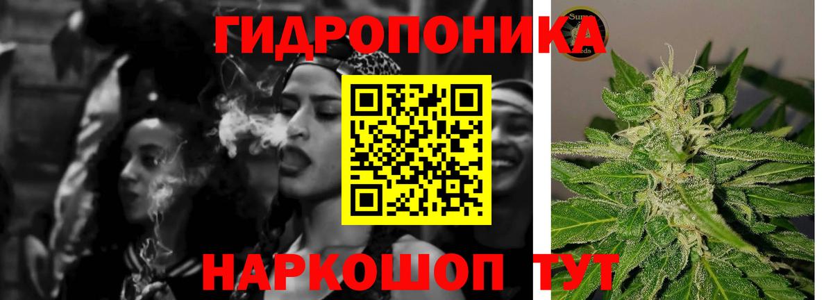 Пугачёв  Марихуана планчик  Канабис Amnesia  Вход с VPN 